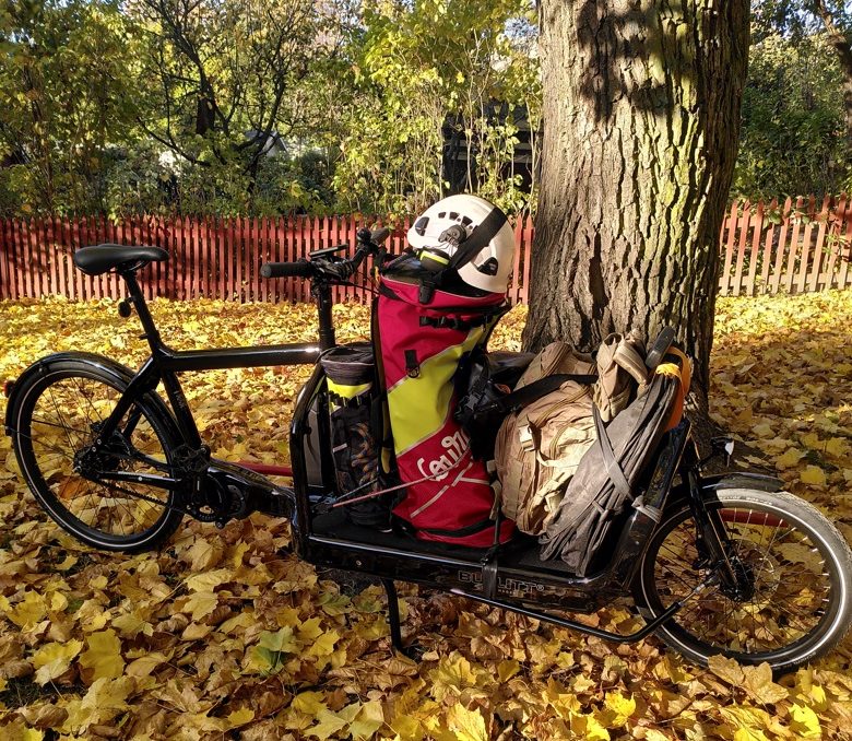 Prisvärd Bästa arborist i i Salem av hög kvalitet